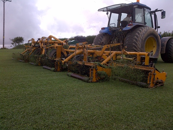 Cornwall Turf grass mowing